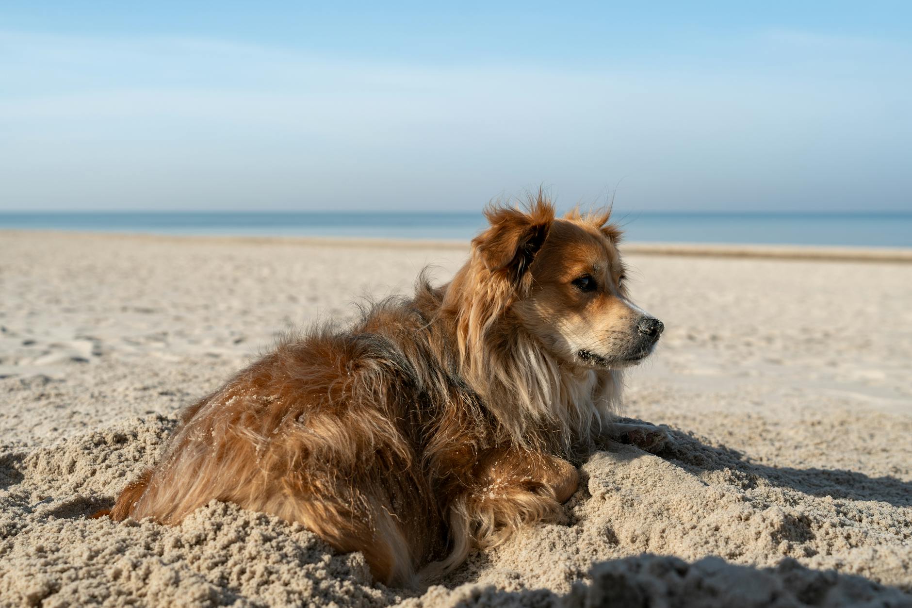 Ogrodnik pielęgnujący zieleń miejską w Kołobrzegu, szukamy ogrodnika