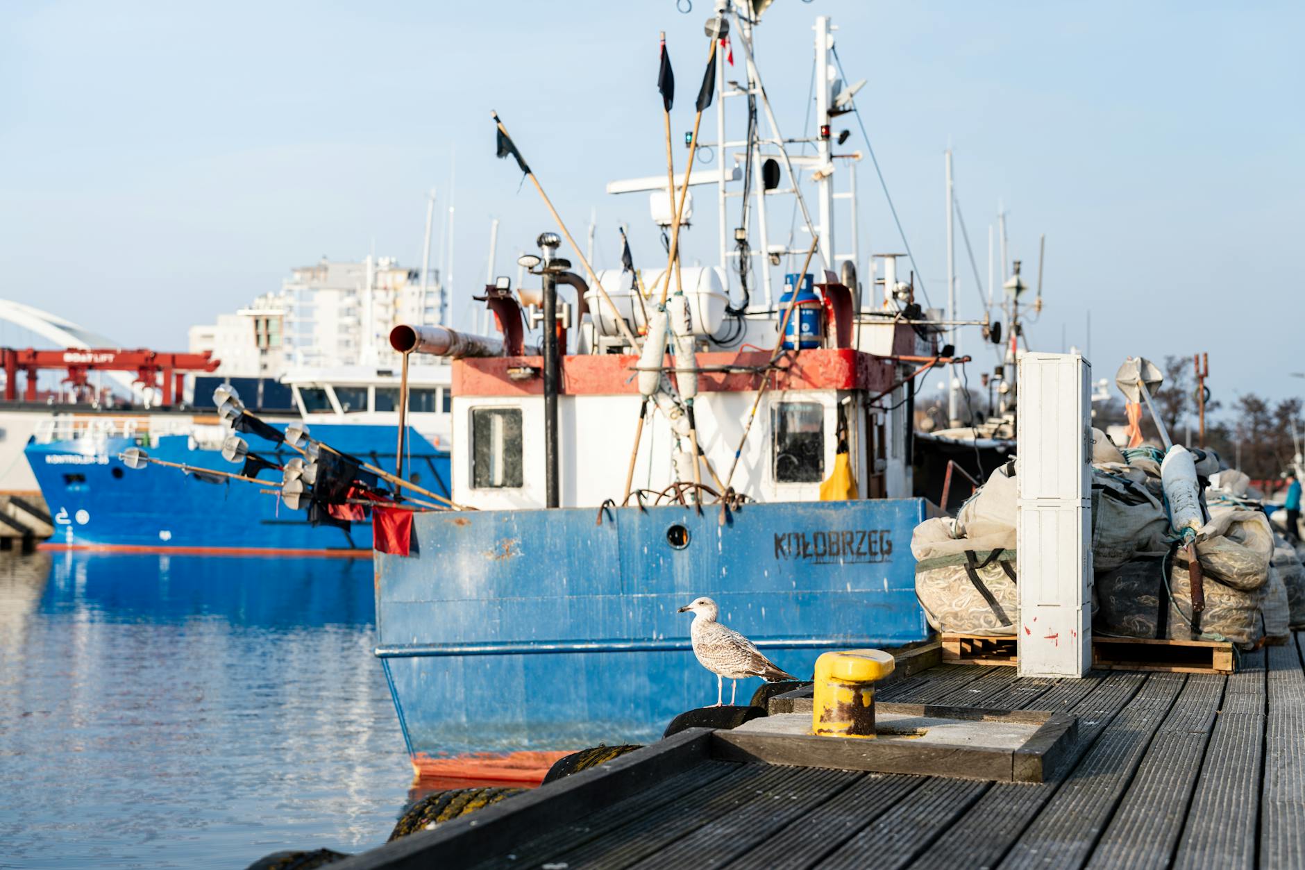 Ogrodnik pielęgnujący zieleń miejską w Kołobrzegu - oferta pracy dla ogrodnika terenów zieleni